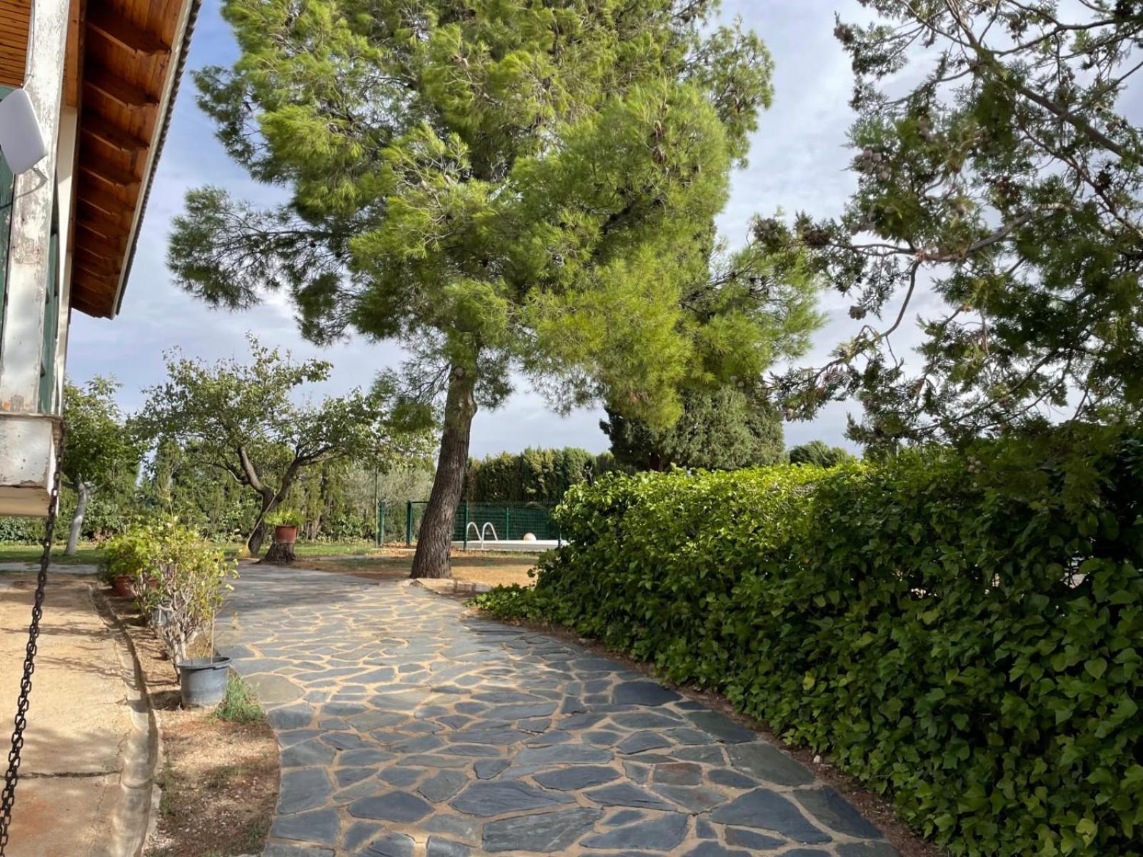 Villa Con Piscina Privada Alacon