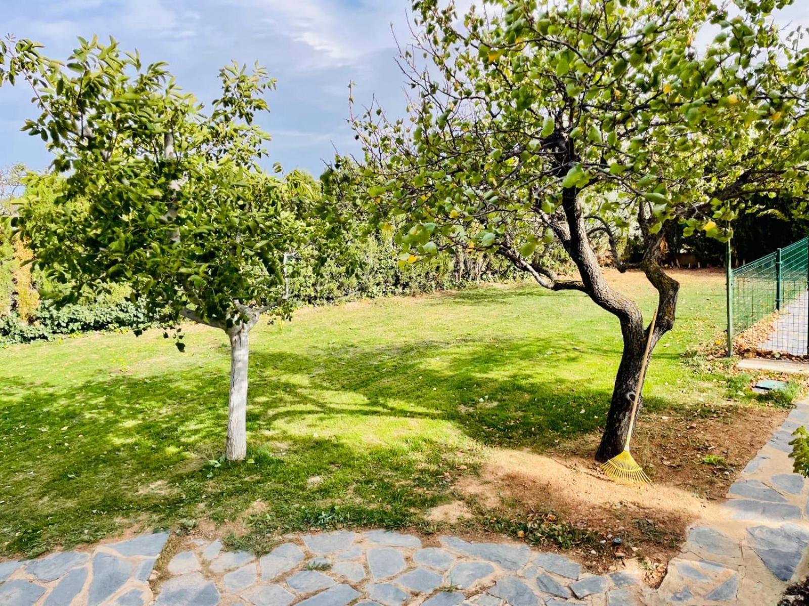 Con Piscina Privada Villa