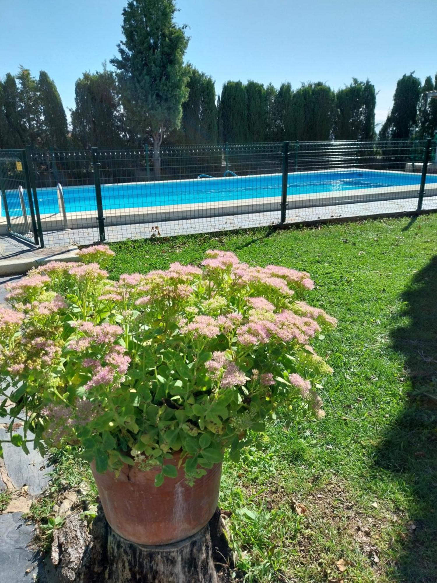 Con Piscina Privada Villa *