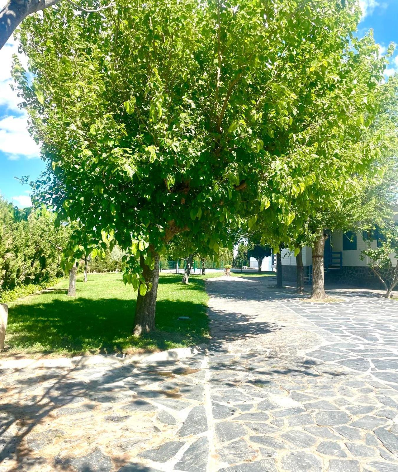 Con Piscina Privada Alacon